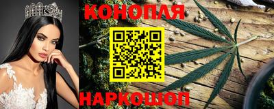 дмт Шебекино
