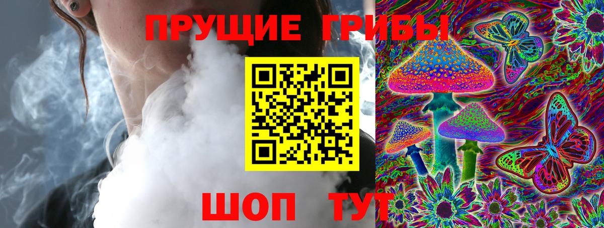 Псилоцибиновые грибы мицелий Вятские Поляны