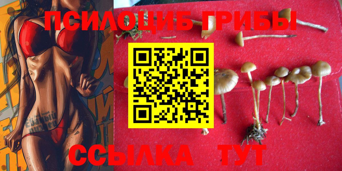 Вятские Поляны  Галлюциногенные грибы мицелий  Вход с VPN 